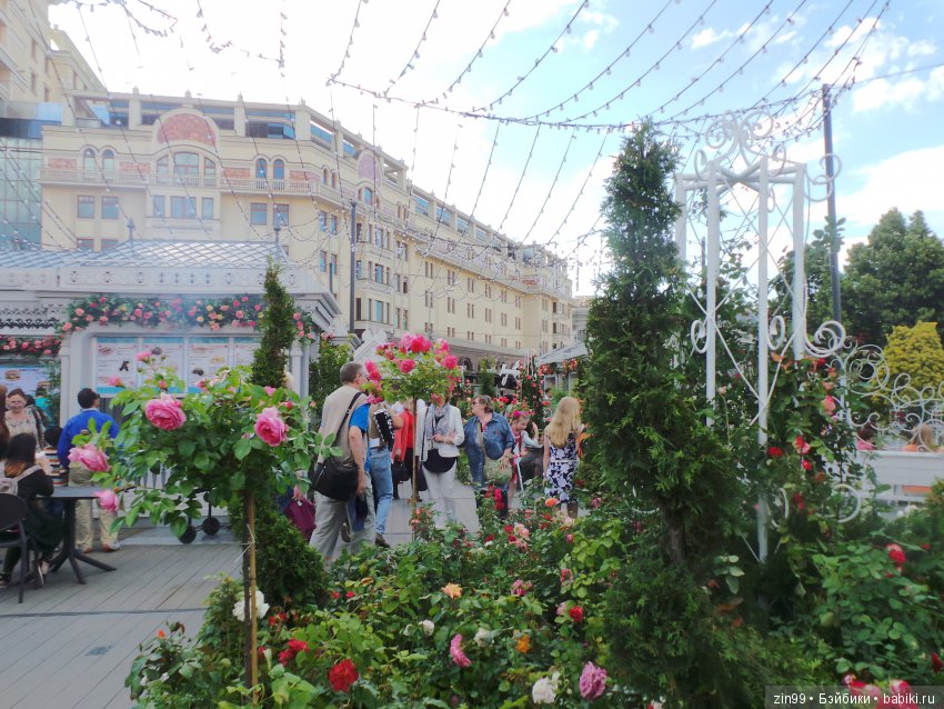 московское лето