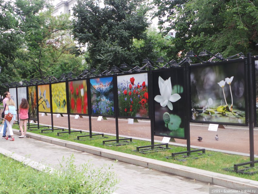 московское лето