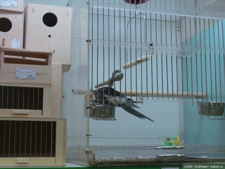 московское лето