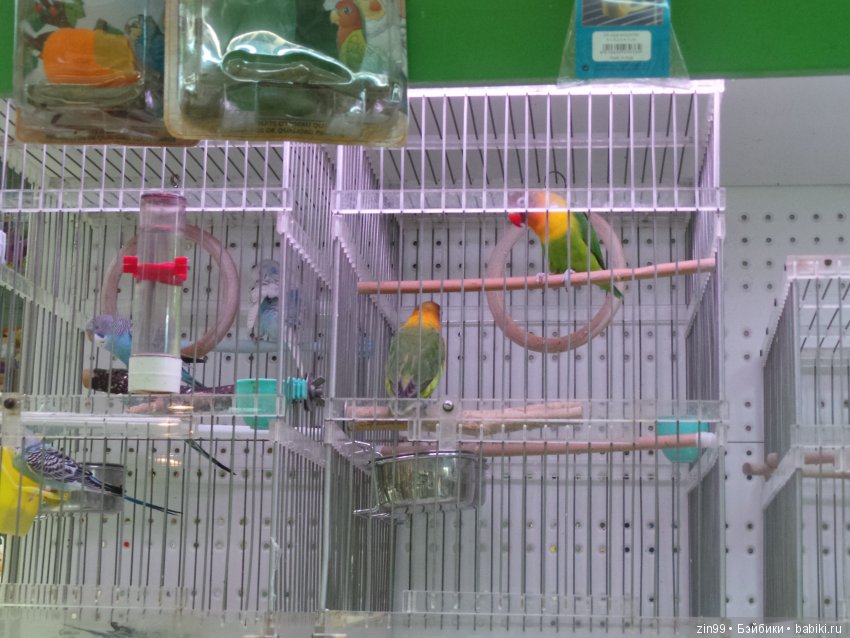 московское лето