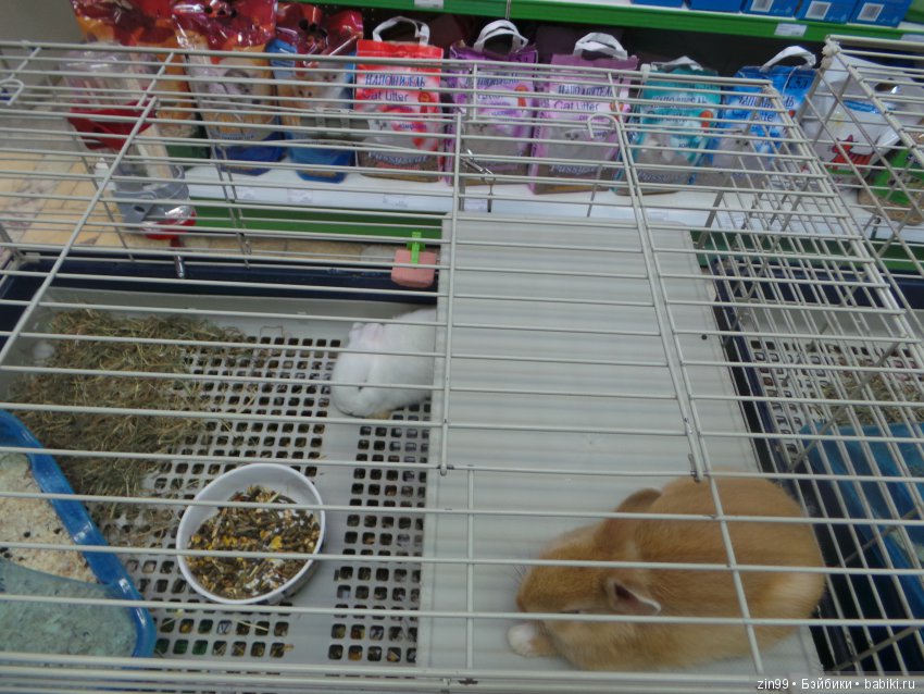 московское лето