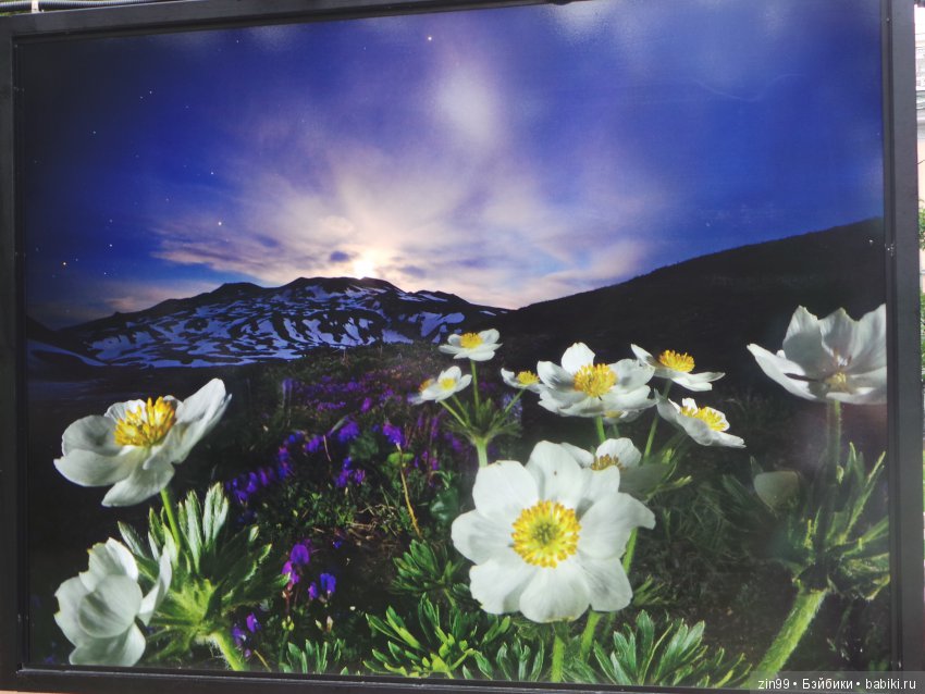 московское лето