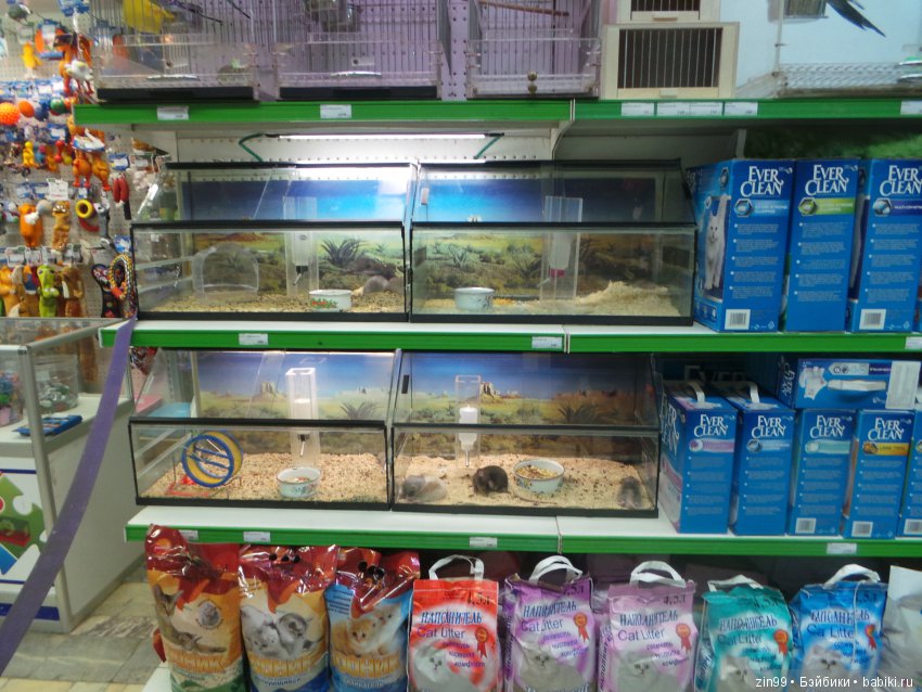 московское лето