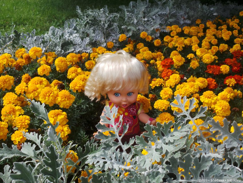 Одним воскресным жарким днём