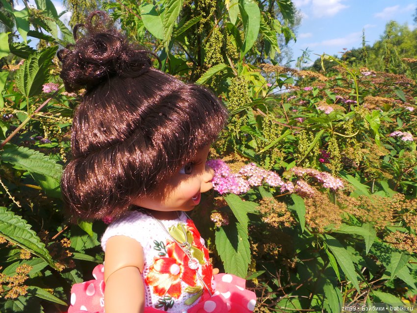 Одним воскресным жарким днём