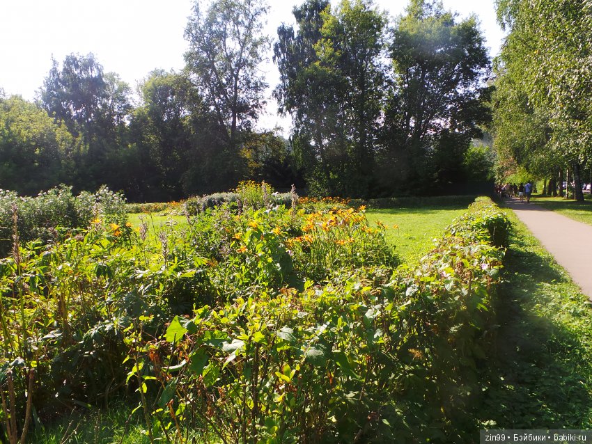 Одним воскресным жарким днём