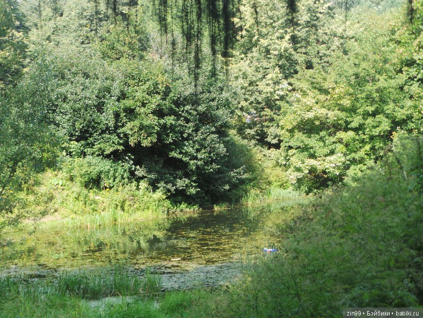 С приездом девочки от Азул, Vestida de Azul (фото 10)