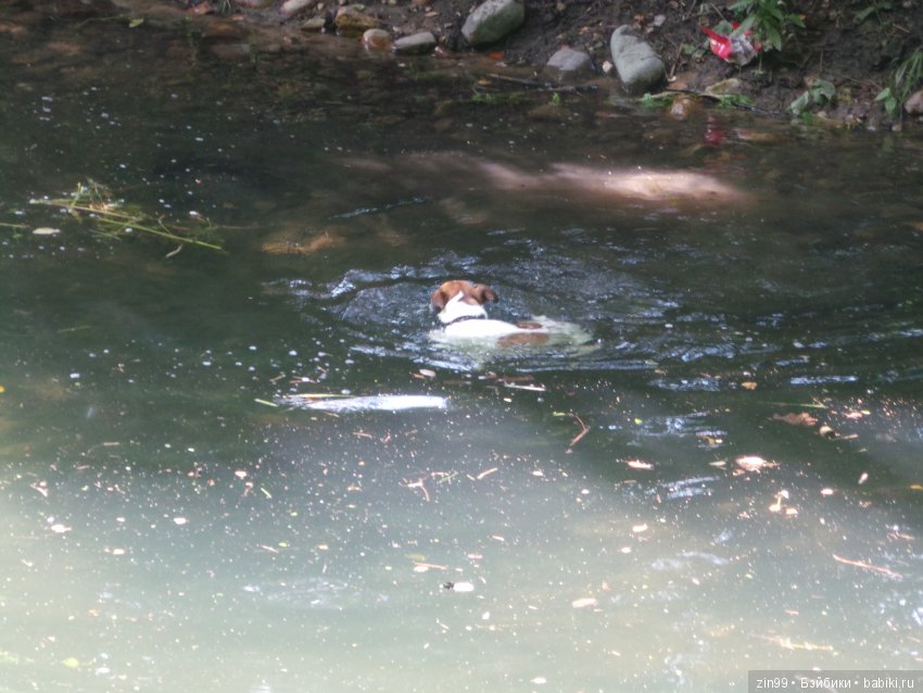 С приездом девочки от Азул, Vestida de Azul