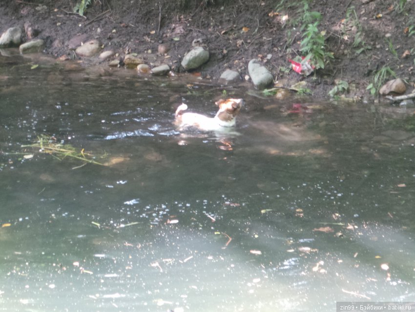 С приездом девочки от Азул, Vestida de Azul