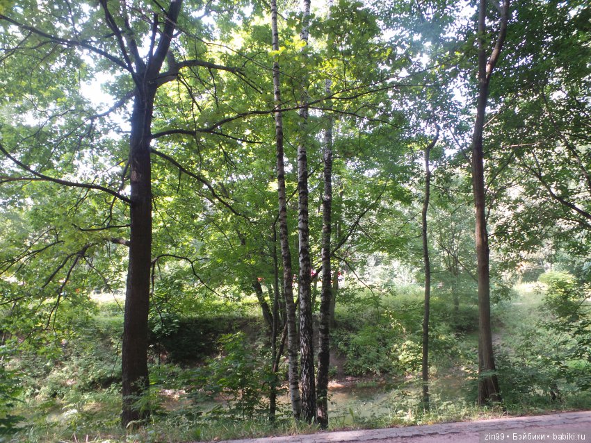 С приездом девочки от Азул, Vestida de Azul