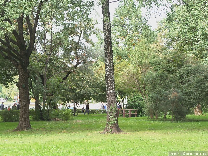 Прогулка в парке в день города с Амбер