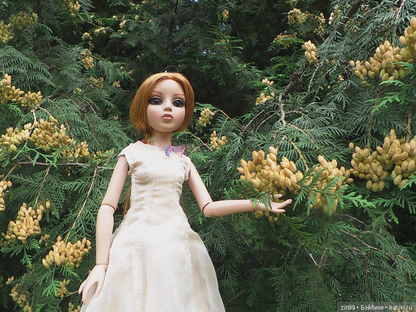 Прогулка в парке в день города с Амбер