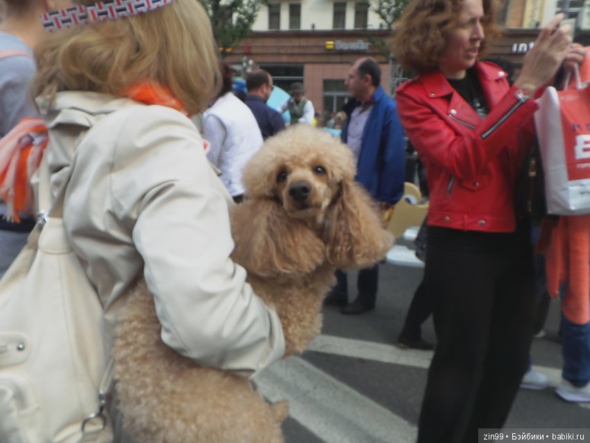 Москве 870 лет, она отмечает день города! Фоторепортаж, вместе с куклой Натали