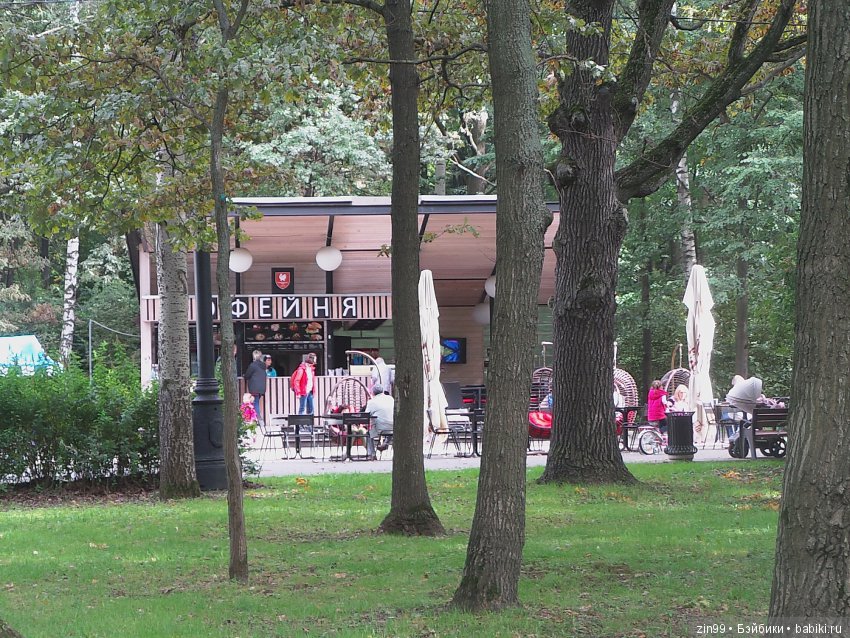 Прогулка в парке в день города с Амбер