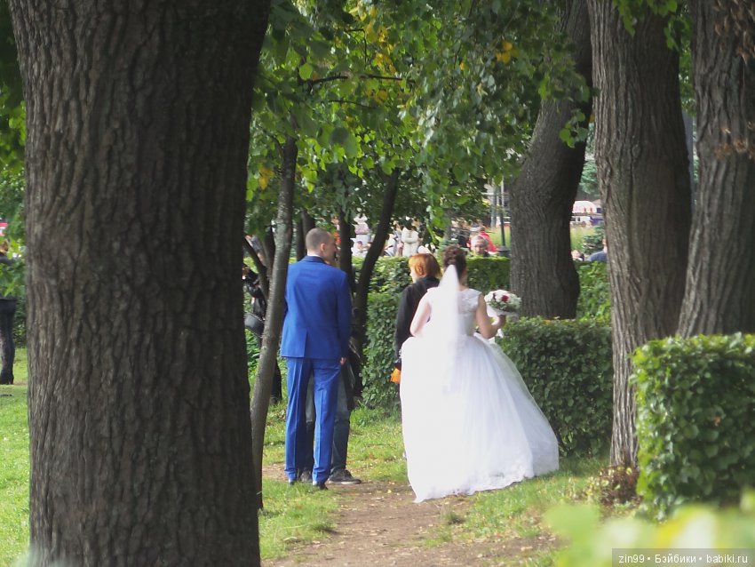 Прогулка в парке в день города с Амбер