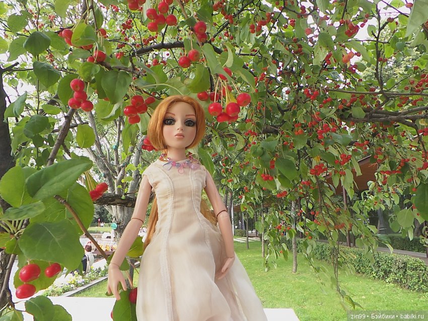 Прогулка в парке в день города с Амбер