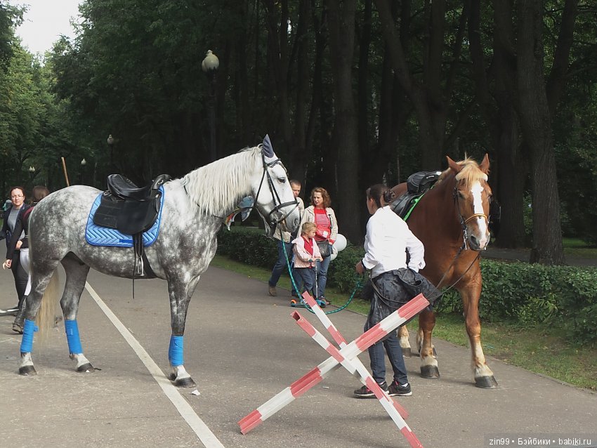 Прогулка в парке в день города с Амбер