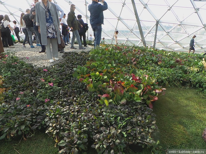 Парк Зарядье, в центре Москвы! С куклой Николеттой