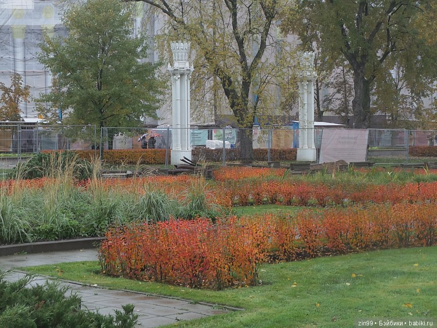 капустка капустка