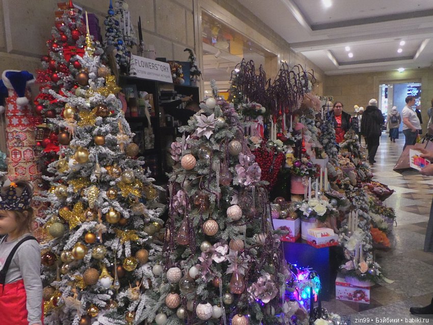 В преддверии Нового года, сказка про Ёлочку