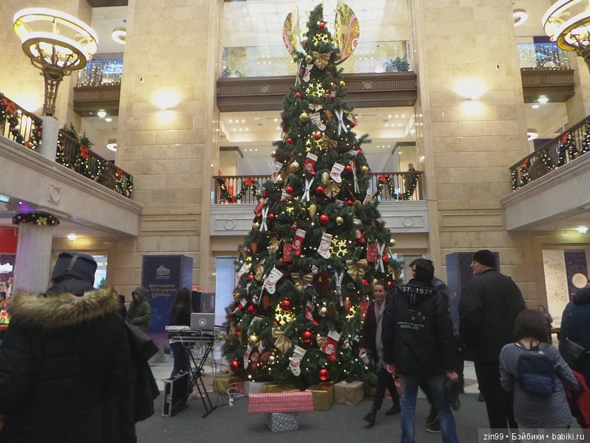 В преддверии Нового года, сказка про Ёлочку