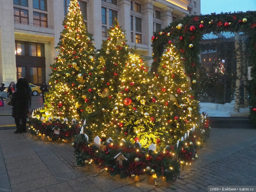 елочка сказка