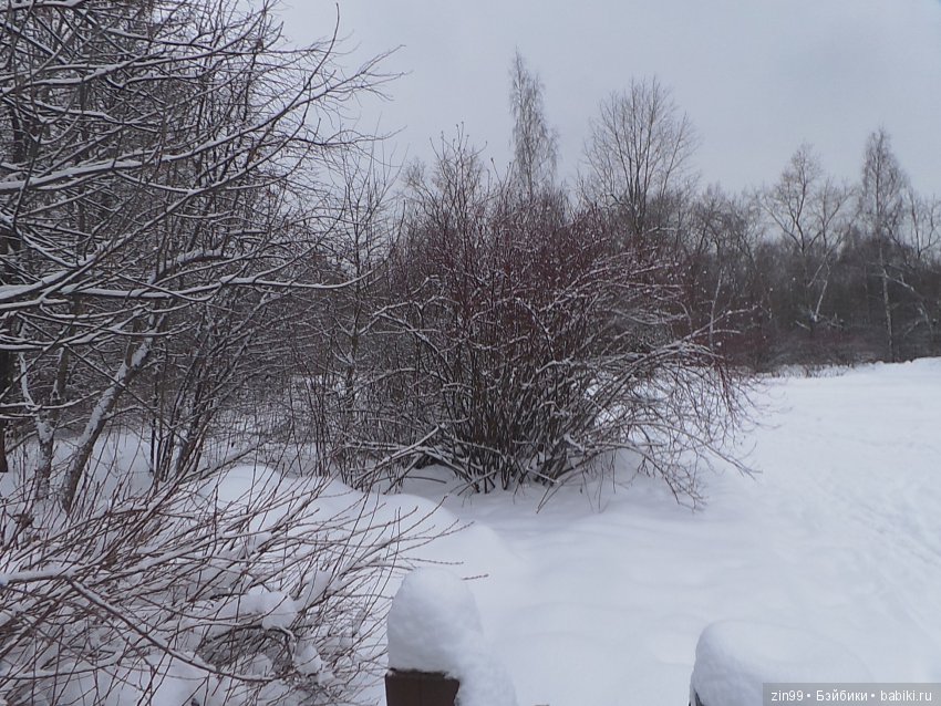Зима раскрыла снежные обьятья, и мы спешим навстречу к ней! Вместе с Соней и Амбер (фото 2)