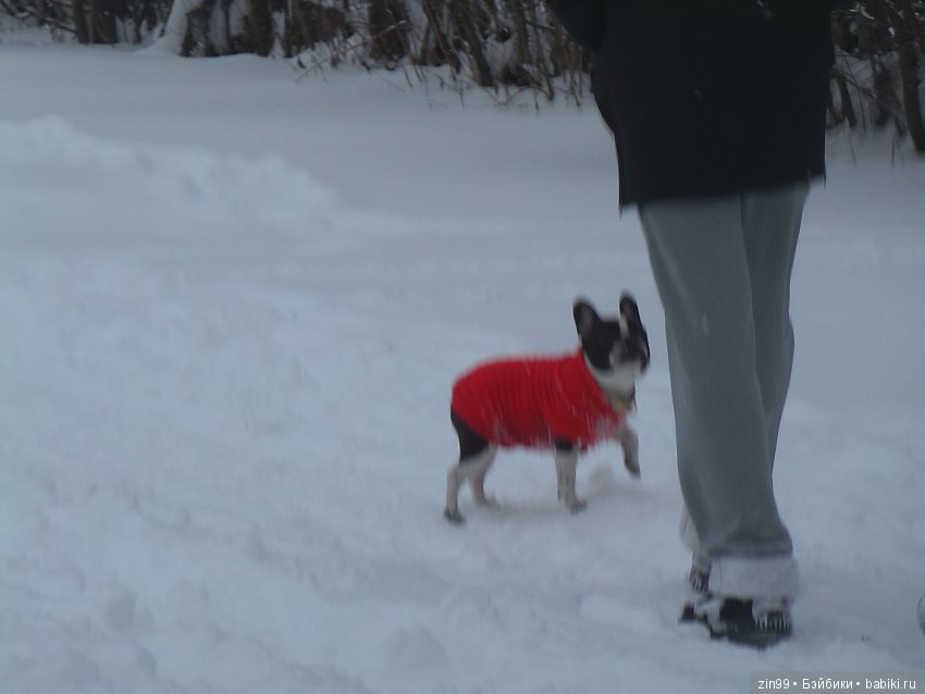 Зима раскрыла снежные обьятья, и мы спешим навстречу к ней! Вместе с Соней и Амбер