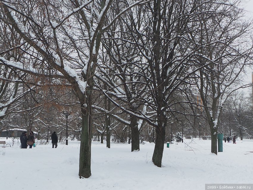 Снежная зима и Зимняя сказка или прогулка Фейсинок (фото 5)