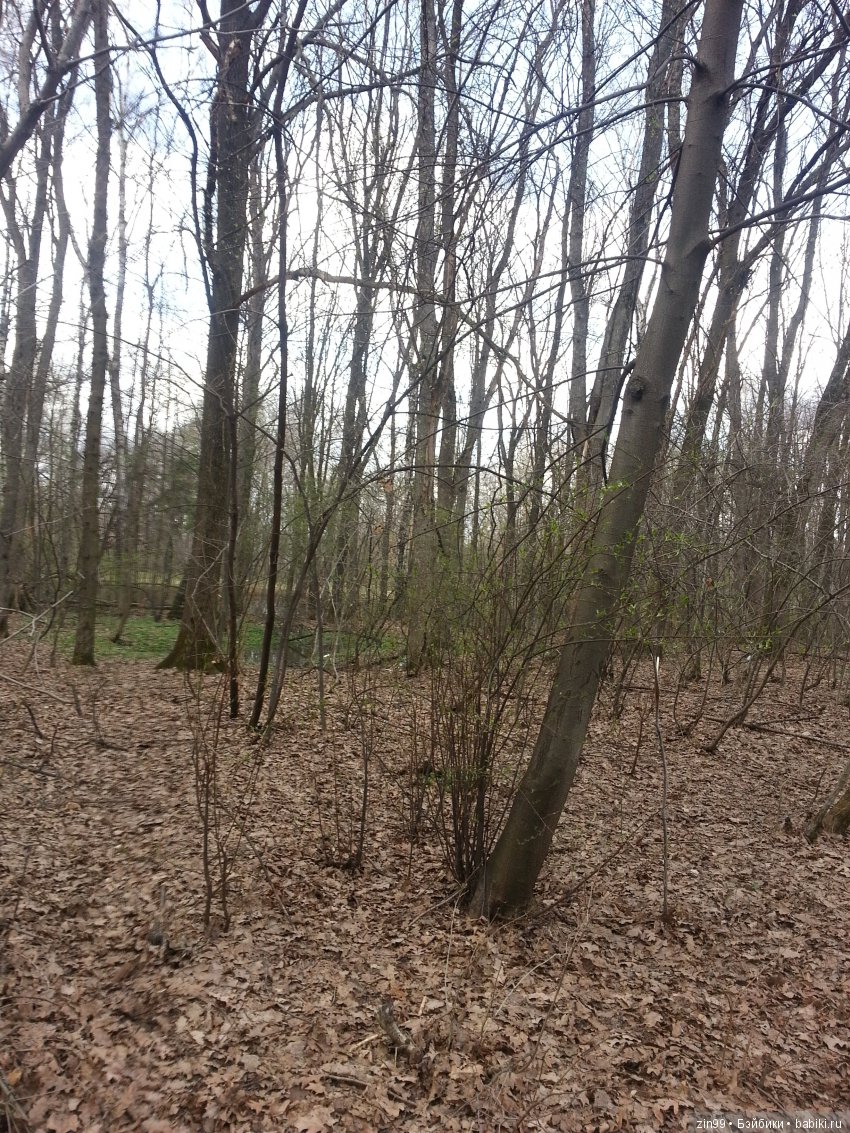 Приезд Селении, приход Весны и еще многое другое