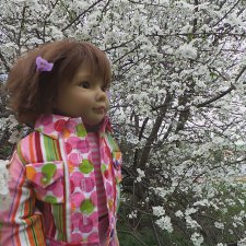 Белая Черемуха, распустилась вновь... Kidz'n'Cats  и их друзья