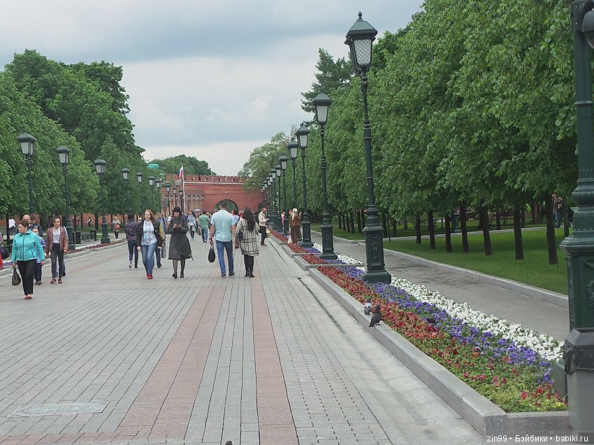 капустка капустка