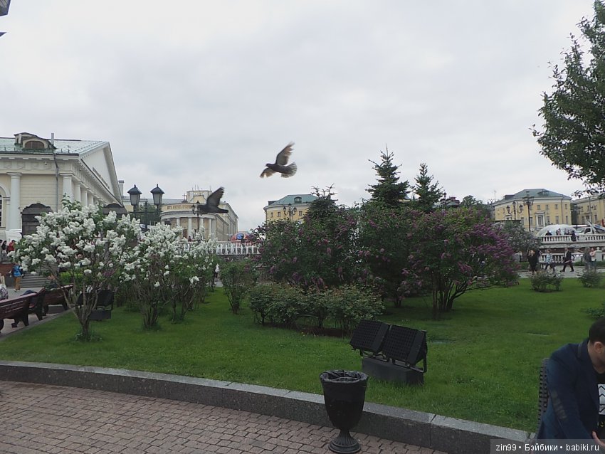 капустка капустка