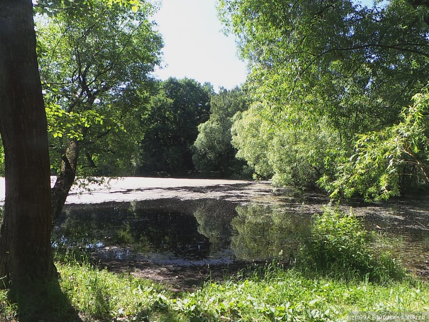 Воскресная прогулка в парк Кусково с кидзами, точнее куклами Kidz'n'Cats! Виртуально приглашаем всех на прогулку