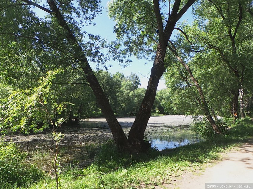 Воскресная прогулка в парк Кусково с кидзами, точнее куклами Kidz'n'Cats! Виртуально приглашаем всех на прогулку (фото 3)