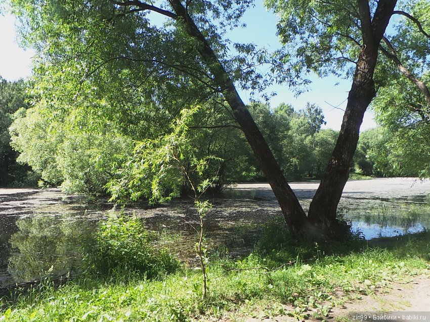 Воскресная прогулка в парк Кусково с кидзами, точнее куклами Kidz'n'Cats! Виртуально приглашаем всех на прогулку (фото 2)