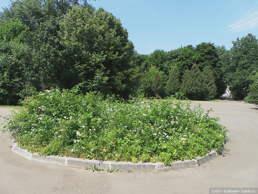 Воскресная прогулка в парк Кусково с кидзами, точнее куклами Kidz'n'Cats! Виртуально приглашаем всех на прогулку