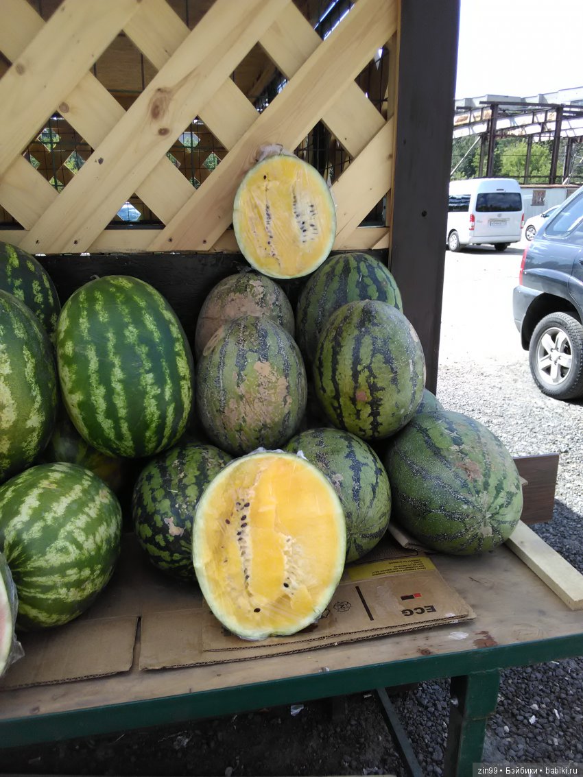 Небольшое путешествие Люси, мини adora, воскресным днём (фото 5)