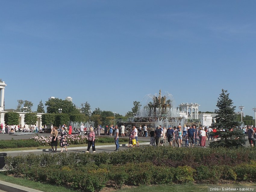 Воскресная прогулка с веселой девочкой в Ботаническом саду