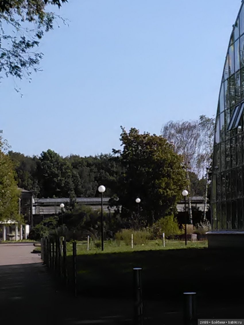 Воскресная прогулка с веселой девочкой в Ботаническом саду (фото 5)