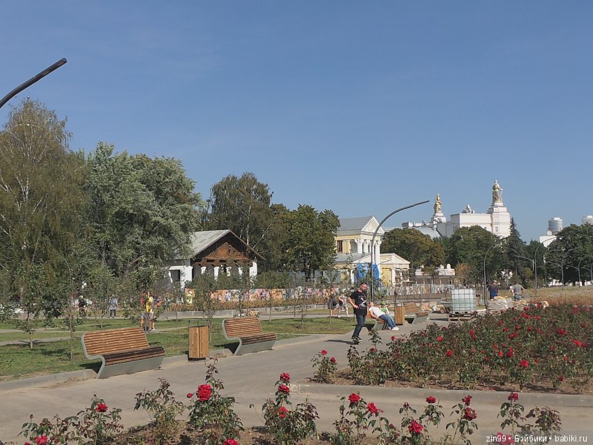 Воскресная прогулка с веселой девочкой в Ботаническом саду