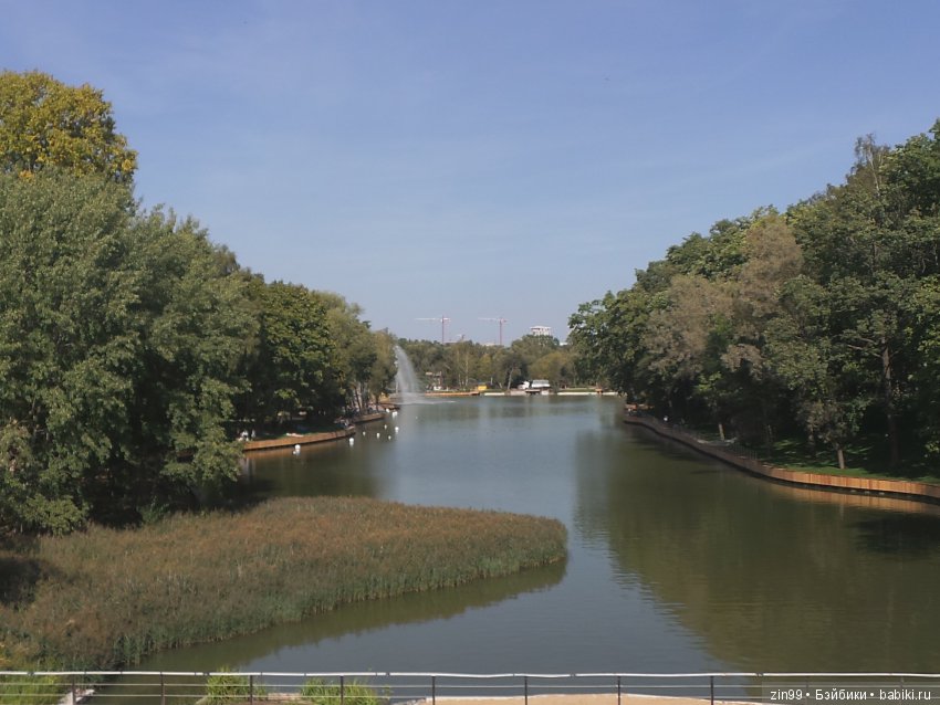 Воскресная прогулка с веселой девочкой в Ботаническом саду