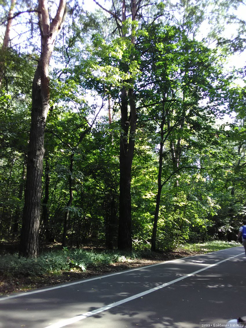 Воскресная прогулка с веселой девочкой в Ботаническом саду (фото 4)