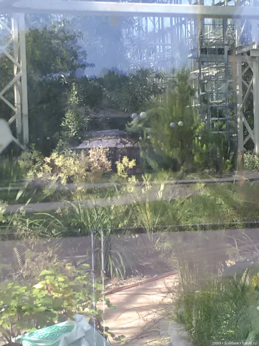 Воскресная прогулка с веселой девочкой в Ботаническом саду (фото 6)