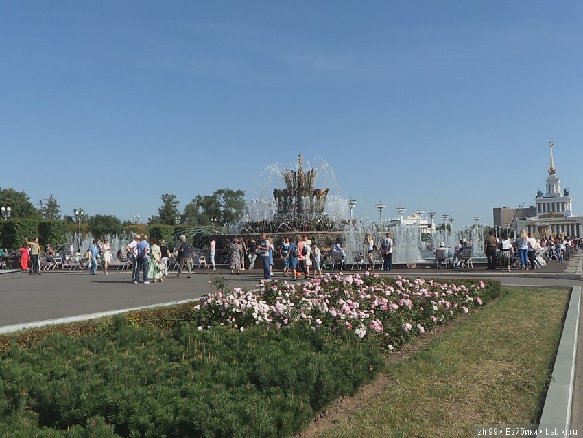 Воскресная прогулка с веселой девочкой в Ботаническом саду