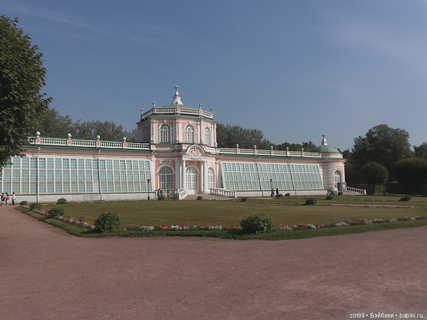 кинзы кинзы