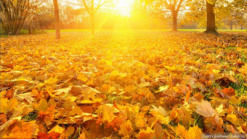 Девочка Октябрь, рыжая Лаурин, кукла Kidz'n'Cats (фото 8)