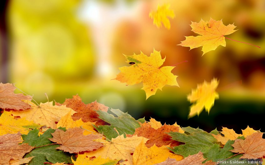 Девочка Октябрь, рыжая Лаурин, кукла Kidz'n'Cats (фото 9)