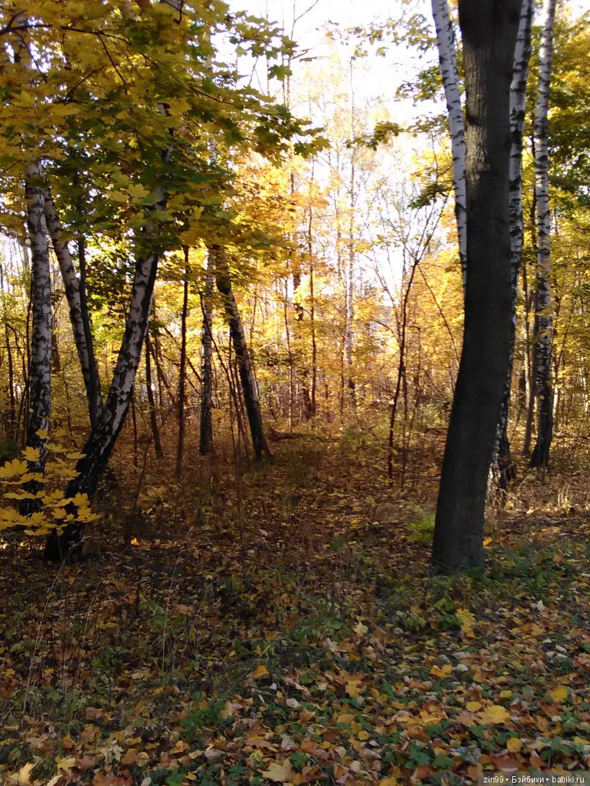 Золотая Осень в парке — Куклы Galoob Baby Face (Фейсинки): винтаж 90 (фото 2)