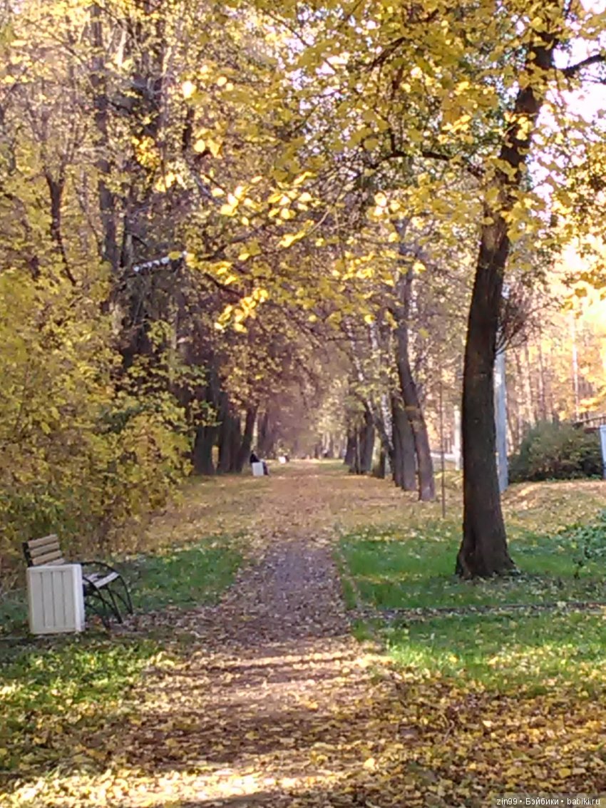 Золотая Осень в парке — Куклы Galoob Baby Face (Фейсинки): винтаж 90